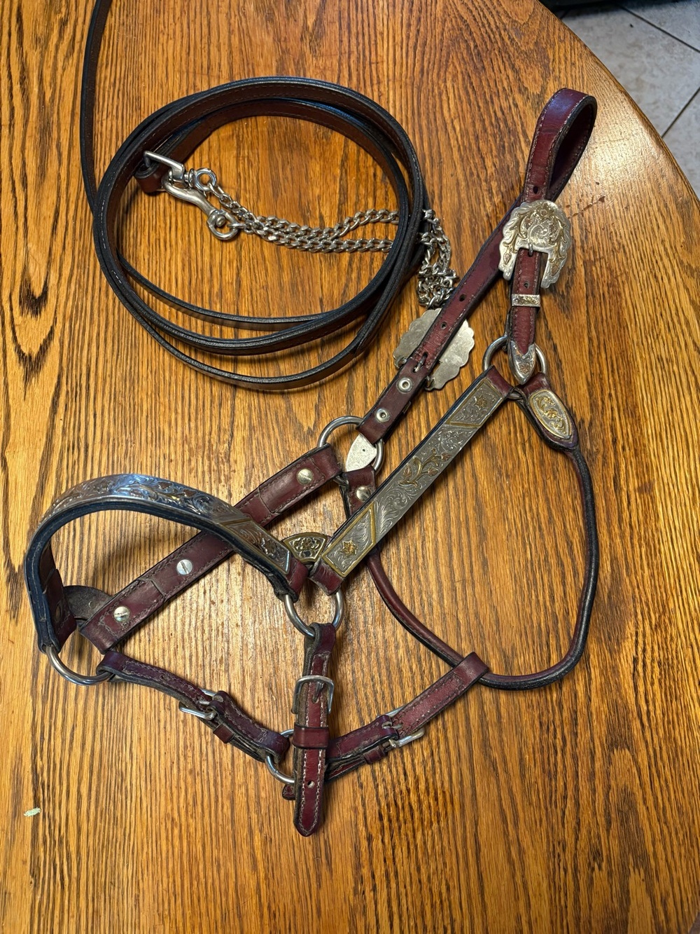 Horse Tack Circle Y Western Silver Show Halter and Lead